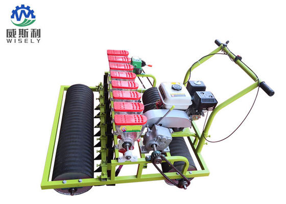 Κίνα Βενζινομηχανή 8 σειρές πράσινες μηχανές περιποίησης σαλάτας που χρησιμοποιούνται στη γεωργία προμηθευτής