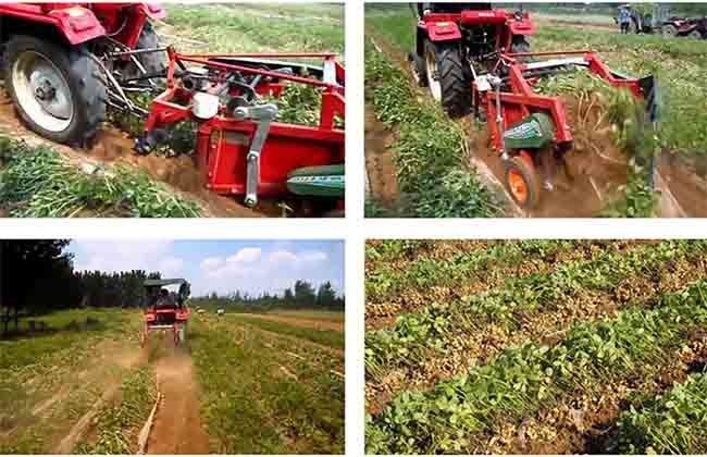 Αυτόματη γεωργίας αγροτικών μηχανημάτων ενιαία θεριστική μηχανή φυστικιών υπόλοιπου κόσμου μικρή